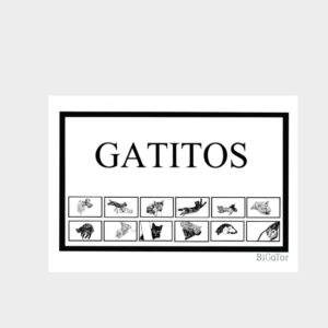 Gatitos